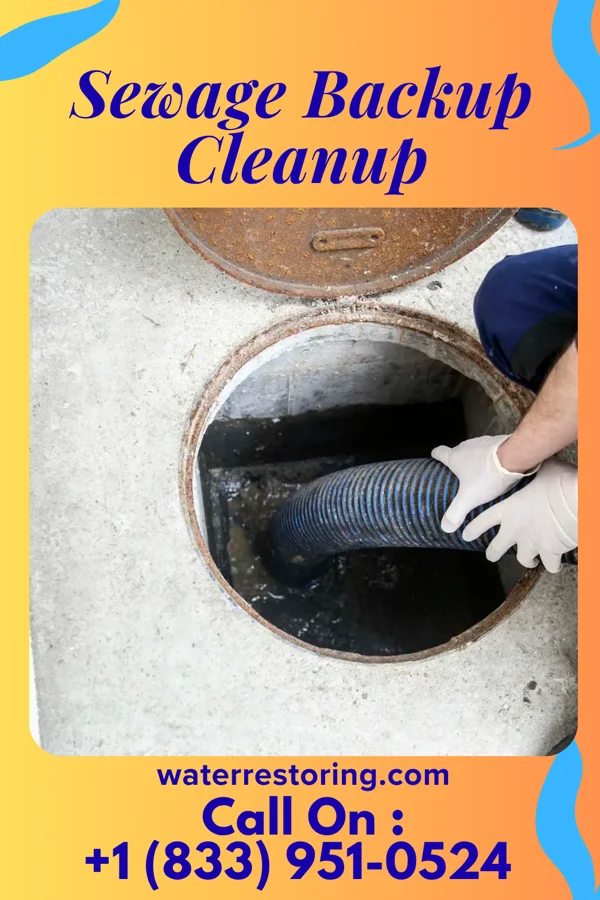 Sewage Backup Cleanup in Rutledge, AL
